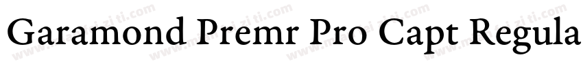 Garamond Premr Pro Capt Regular字体转换